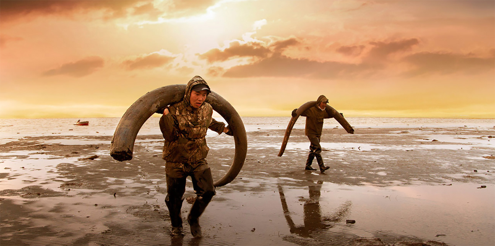 «Генезис 2.0» в сети кинотеатров «Москино» – события на сайте «Московские Сезоны»