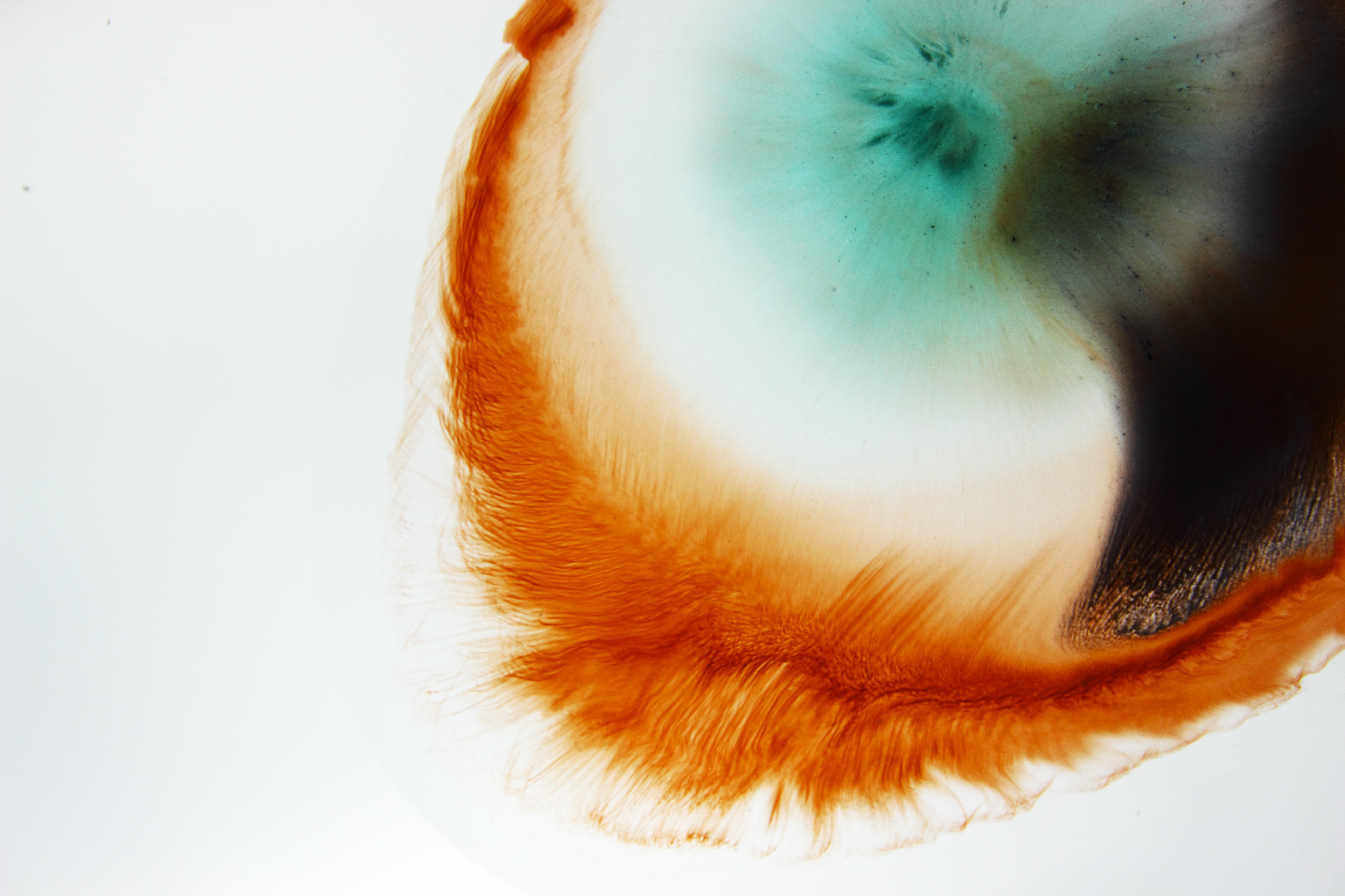 Мастер-класс «Я – художник» – события на сайте «Московские Сезоны»