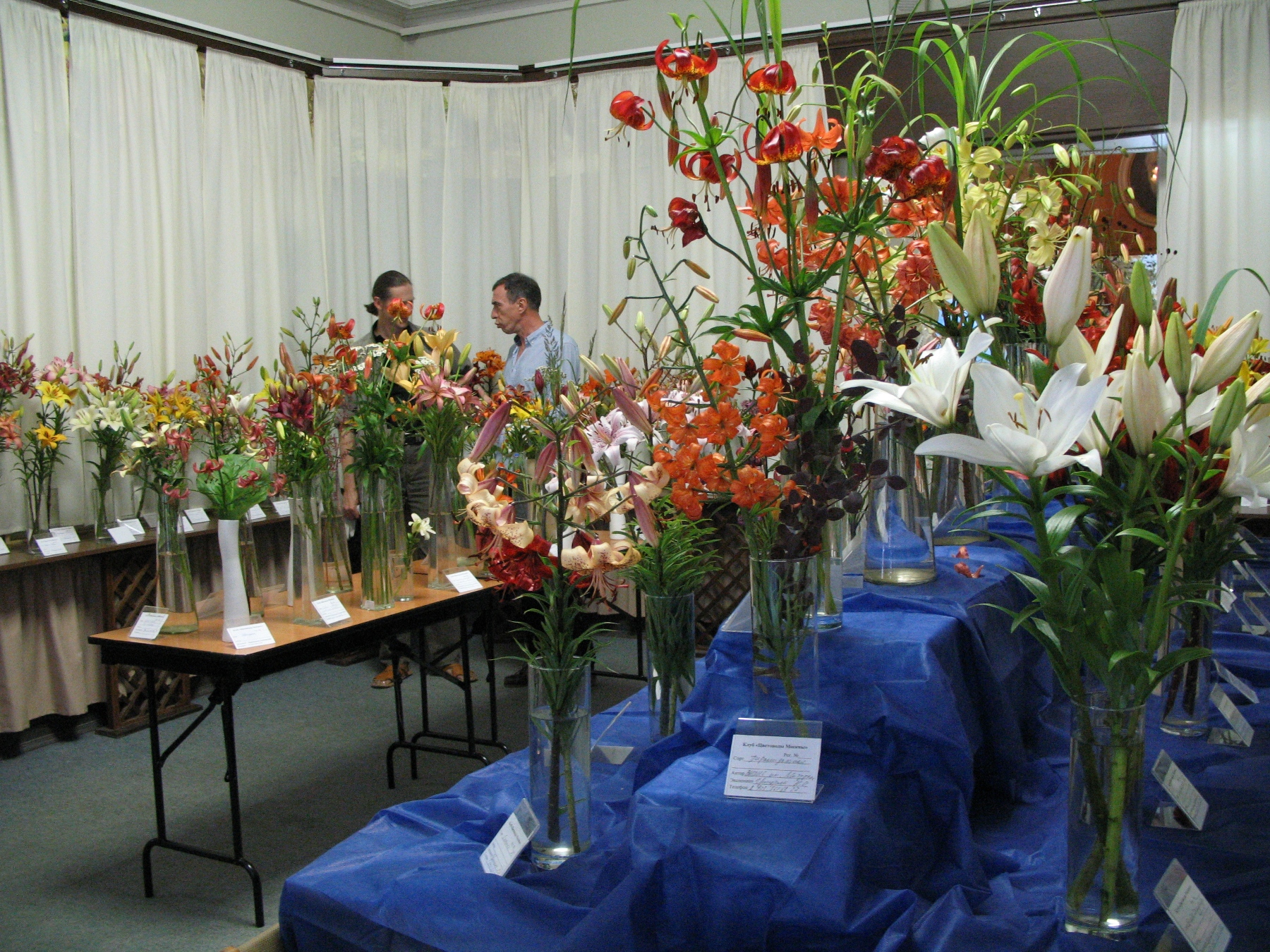 Выставки лилий в Биологическом музее – события на сайте «Московские Сезоны»