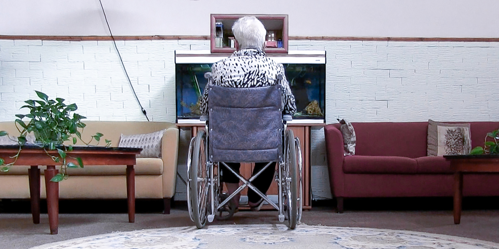 Фильмы Тамары Дондурей в сети «Москино» – события на сайте «Московские Сезоны»