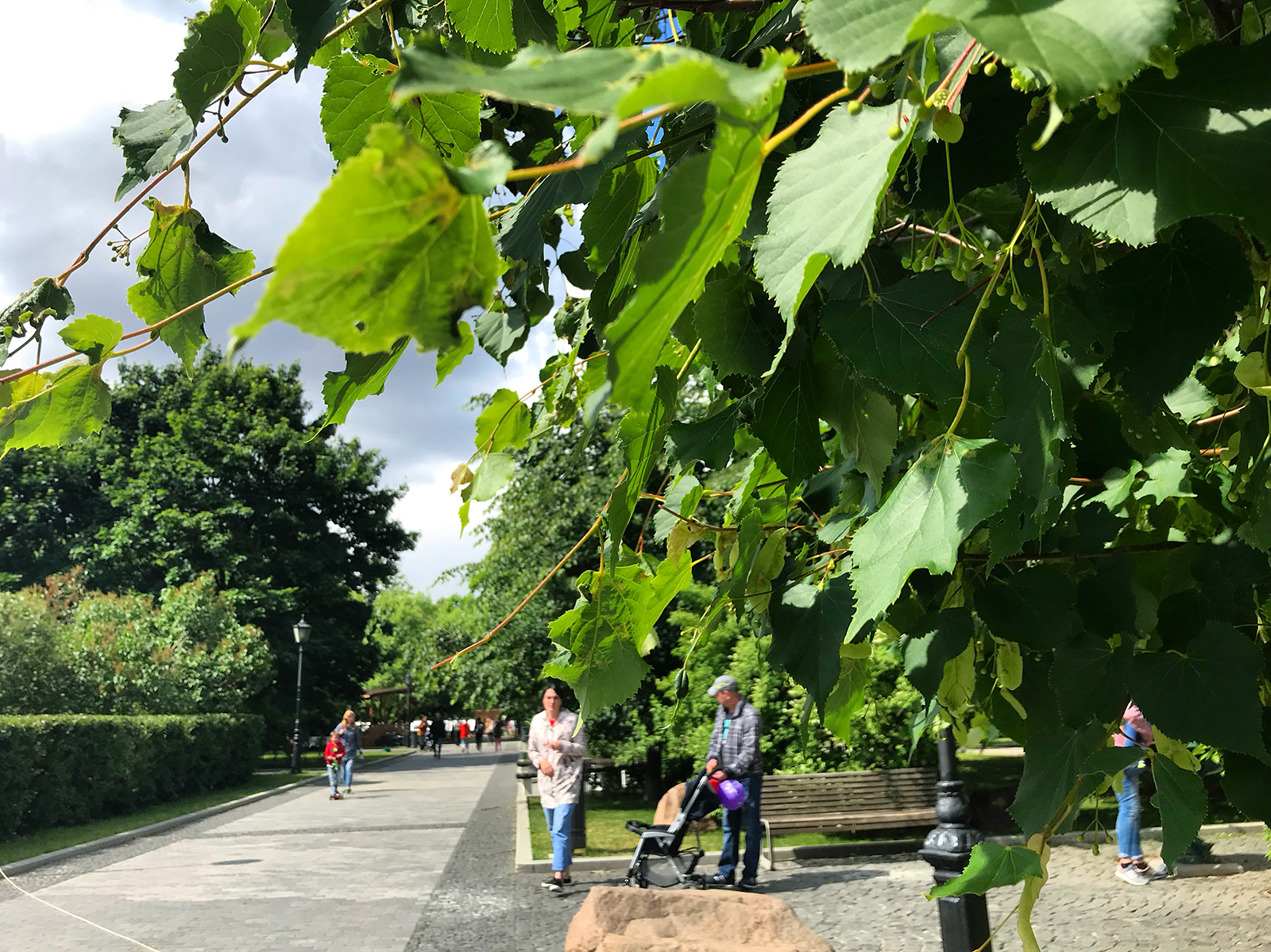 День Русского географического общества в саду имени Баумана – события на сайте «Московские Сезоны»