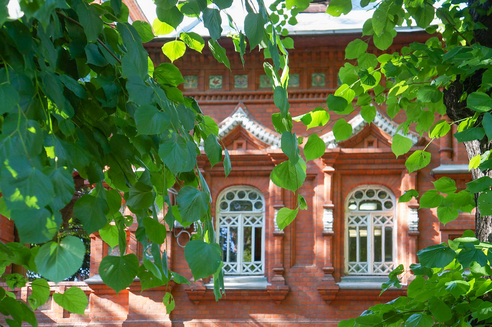 «Лето под липами»: мастер-класс и экскурсия-прогулка в Биологическом музее – события на сайте «Московские Сезоны»