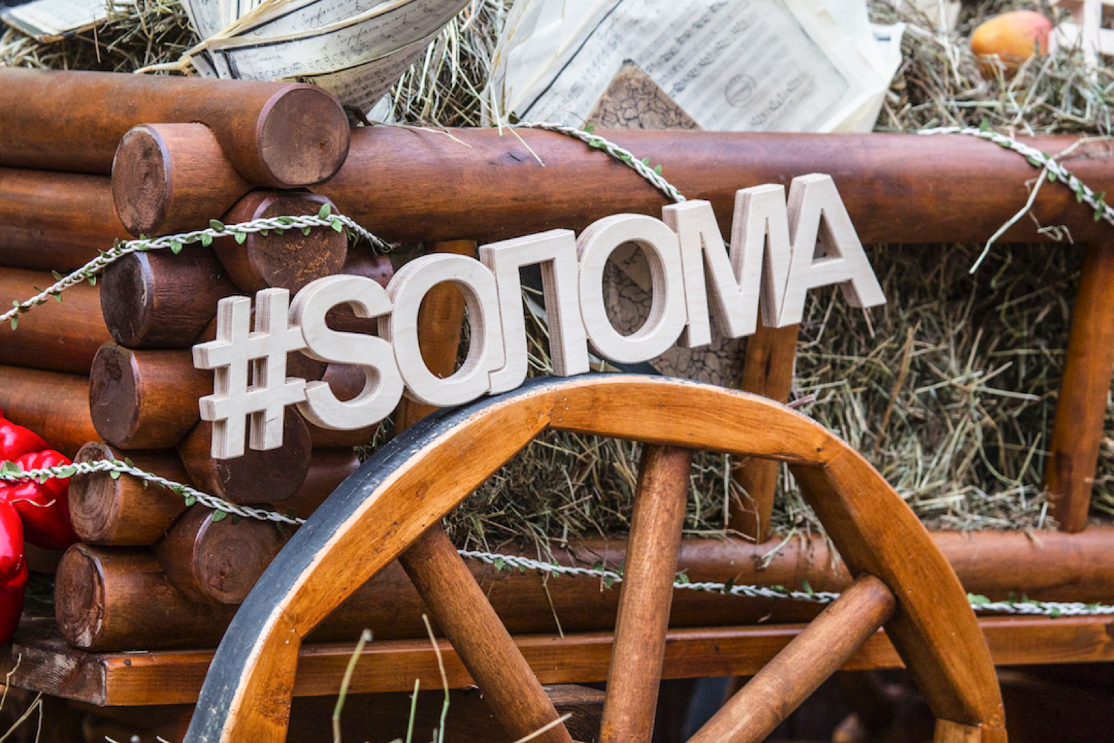 Фестиваль «Sолома» в саду «Эрмитаж» – события на сайте «Московские Сезоны»