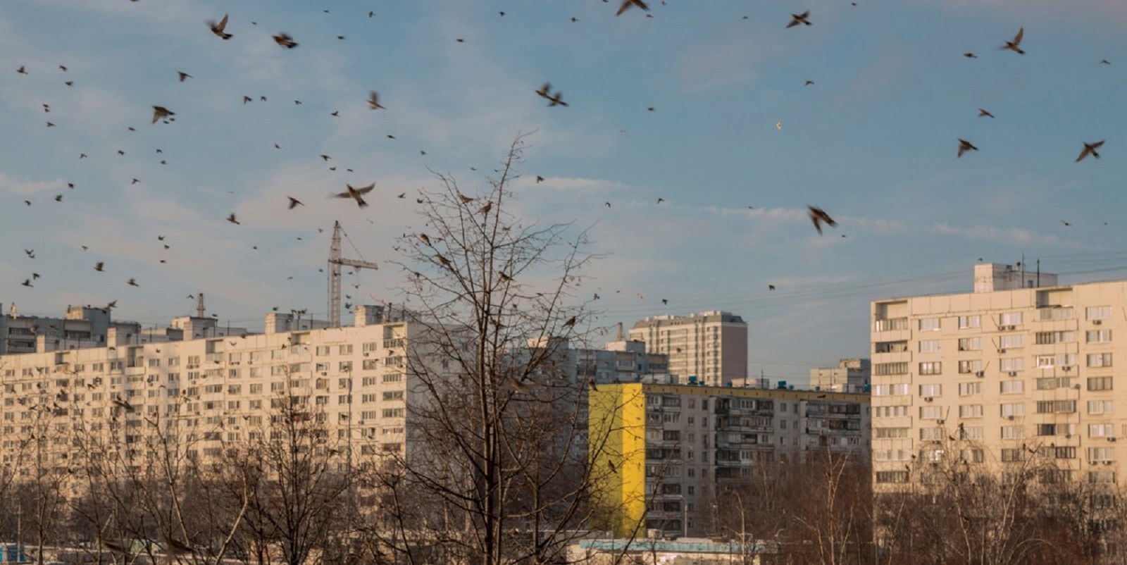 Премьера документального фильма «#маленькиелюди» в галерее «Богородское» – события на сайте «Московские Сезоны»