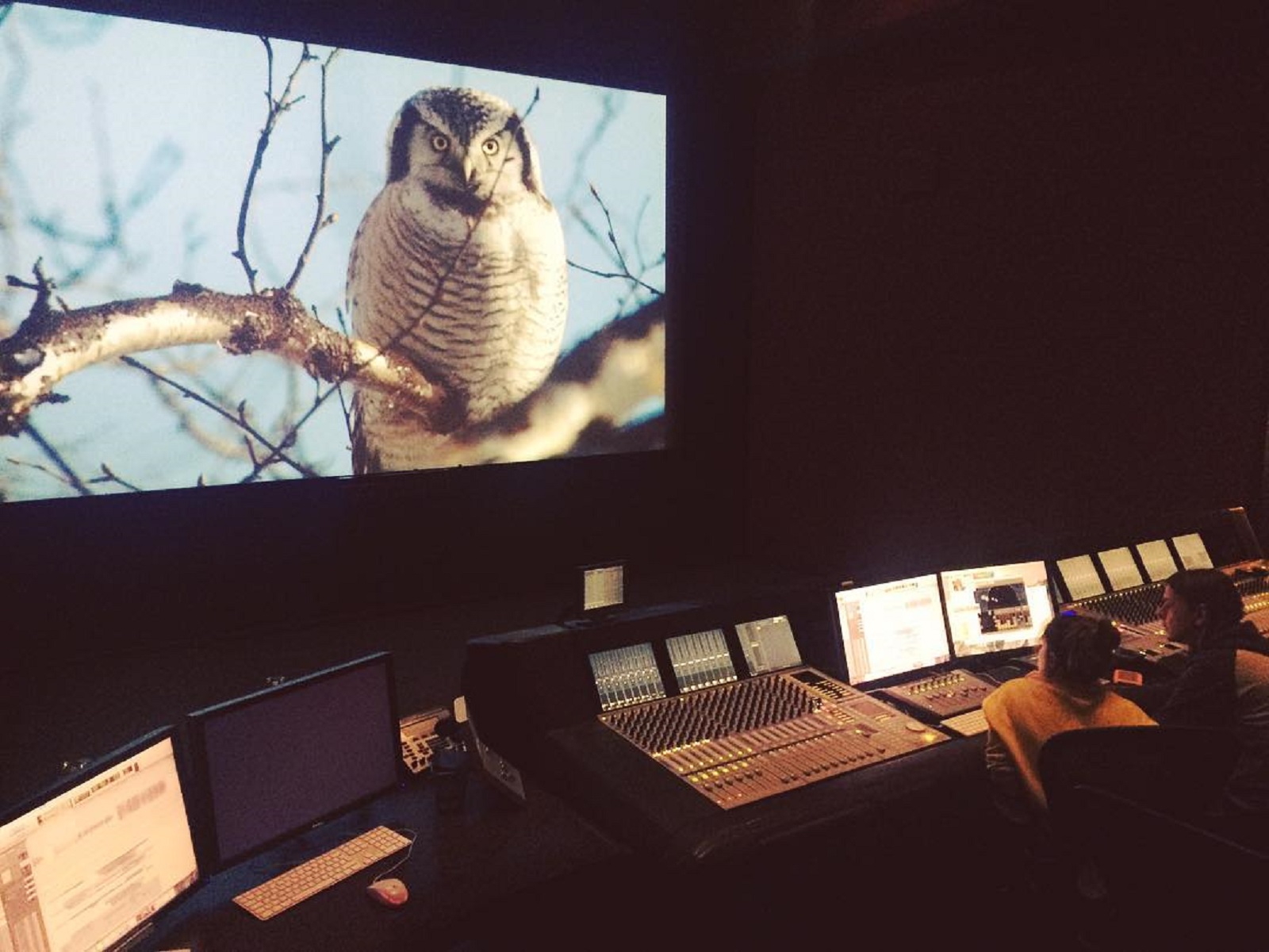 «Spy DIY / Шпион-самоучка» в Электромузее в Ростокине – события на сайте «Московские Сезоны»