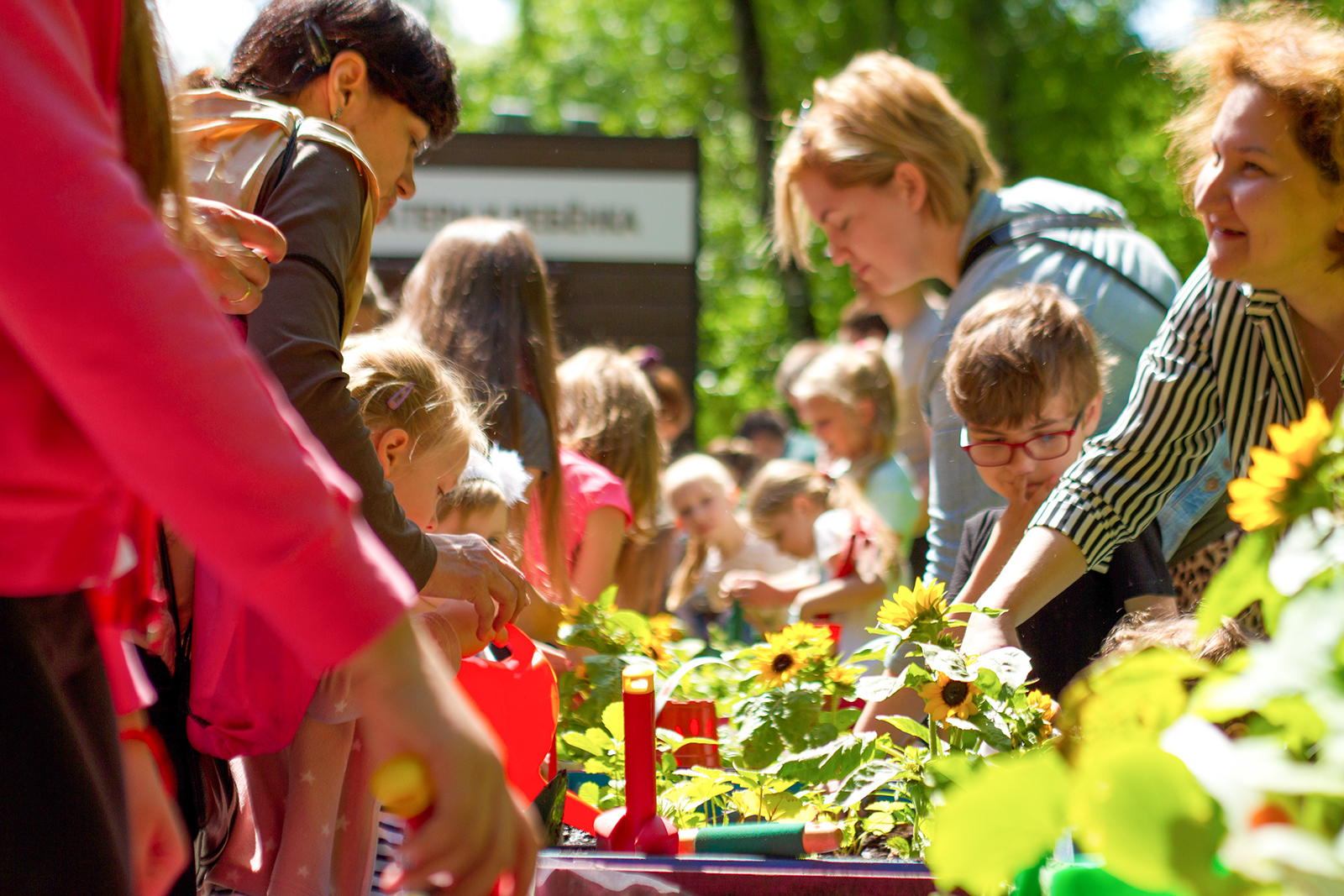 Экоквест «Дача в большом городе» в Перовском парке – события на сайте «Московские Сезоны»