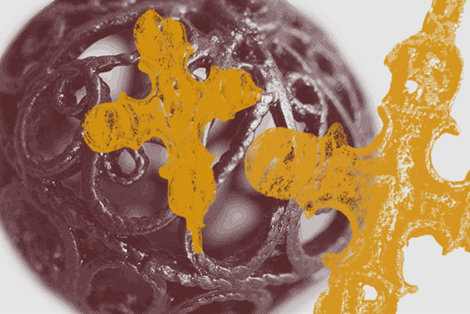 «Находки моей улицы» в Музее Москвы – события на сайте «Московские Сезоны»