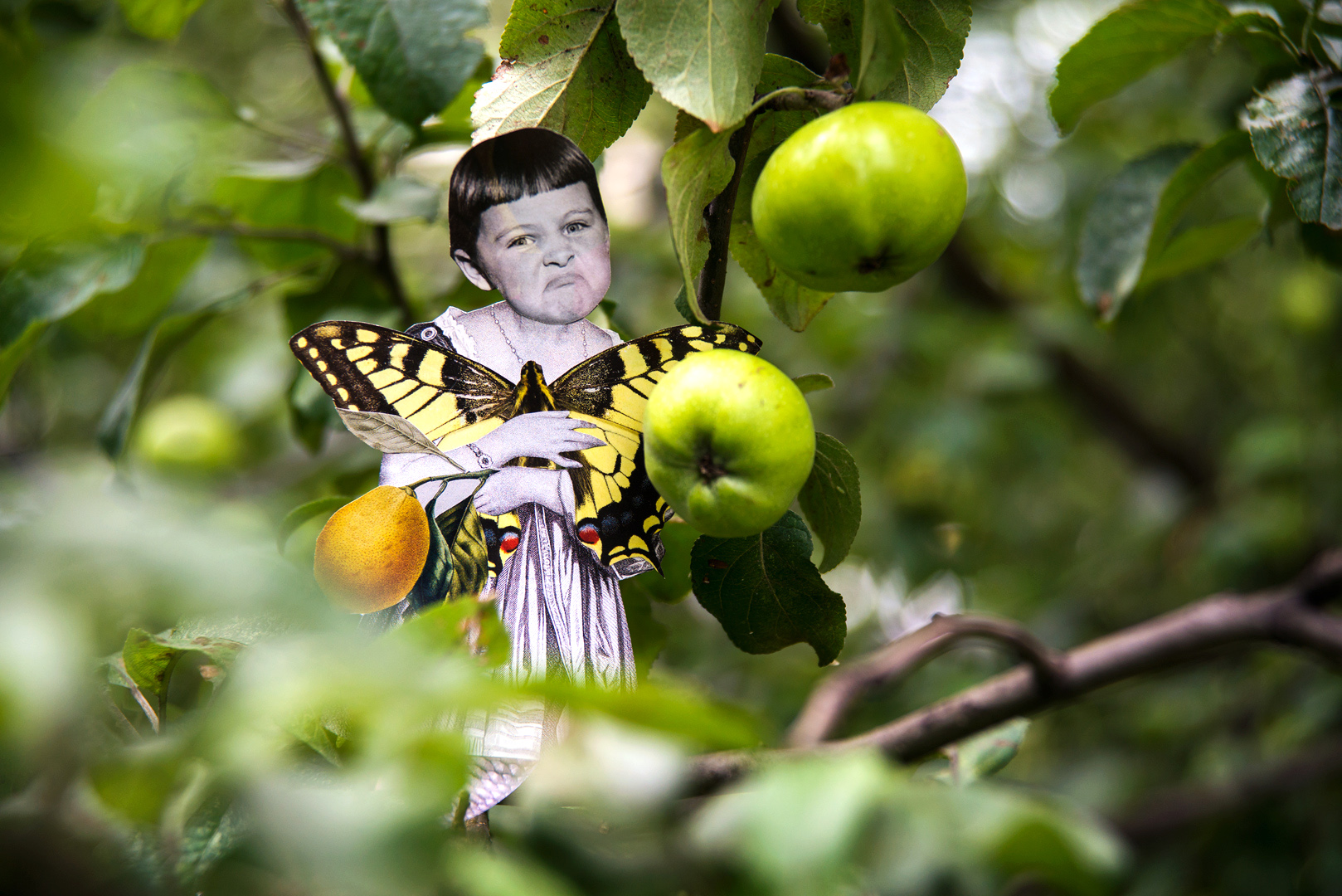 Международная выставка коллажа в саду имени Баумана – события на сайте «Московские Сезоны»