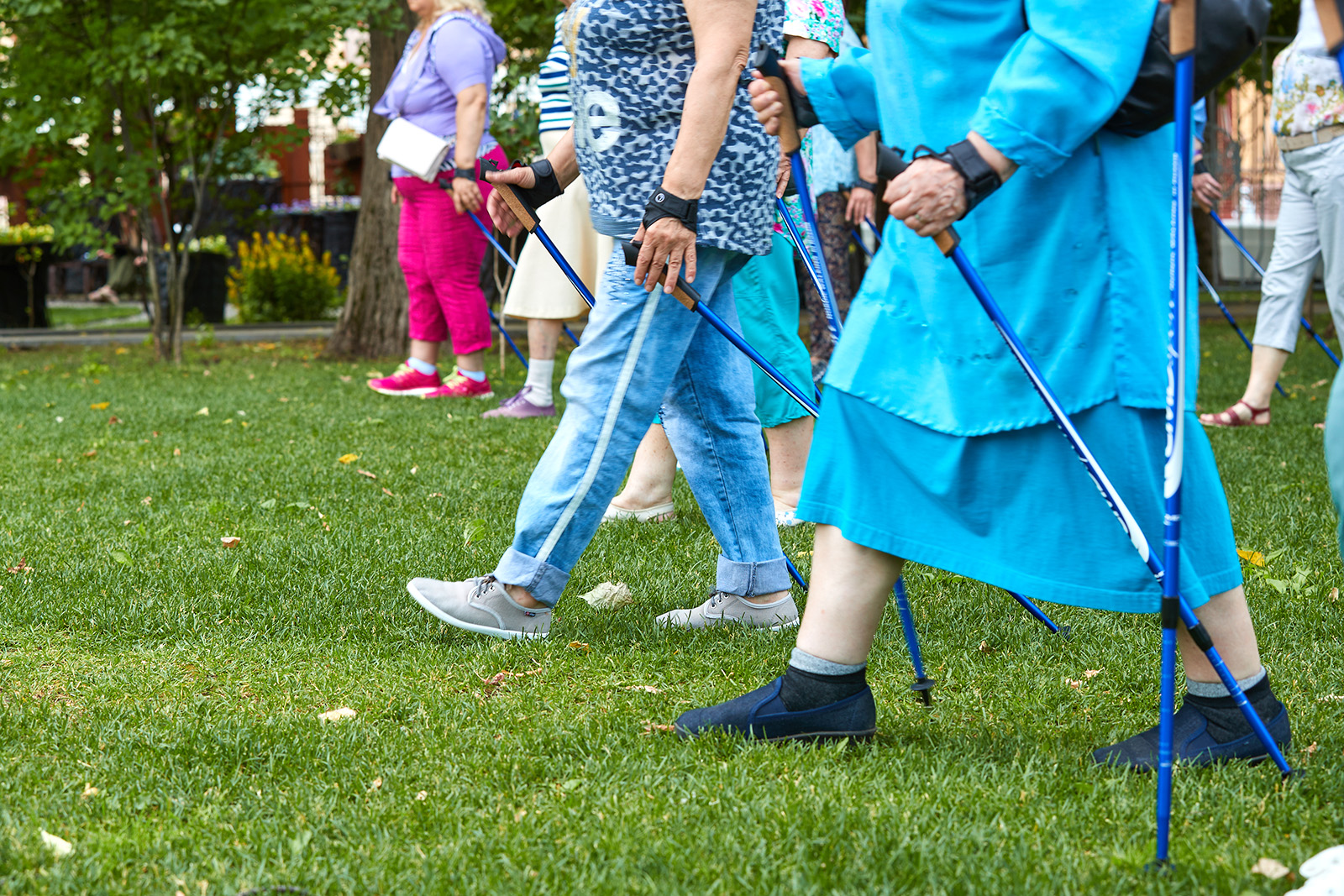 Тренировка для москвичей старшего возраста в парке Победы – события на сайте «Московские Сезоны»