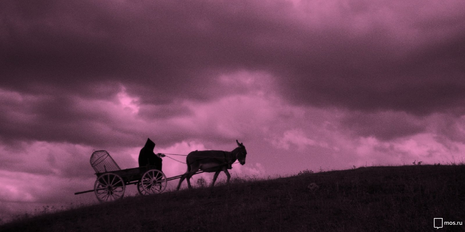 Показ фильмов-победителей Moscow Shorts в кинотеатре «Космос» – события на сайте «Московские Сезоны»