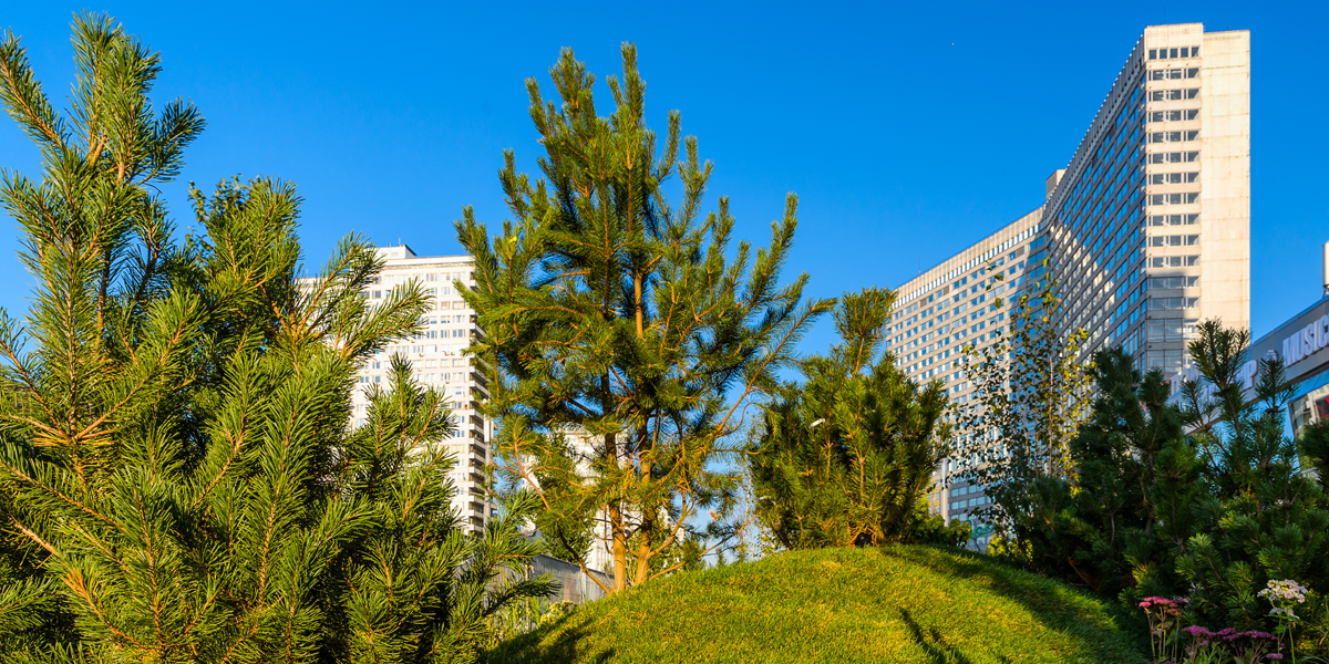 «На семи холмах», Хлебородова Оксана (Россия) – события на сайте «Московские Сезоны»