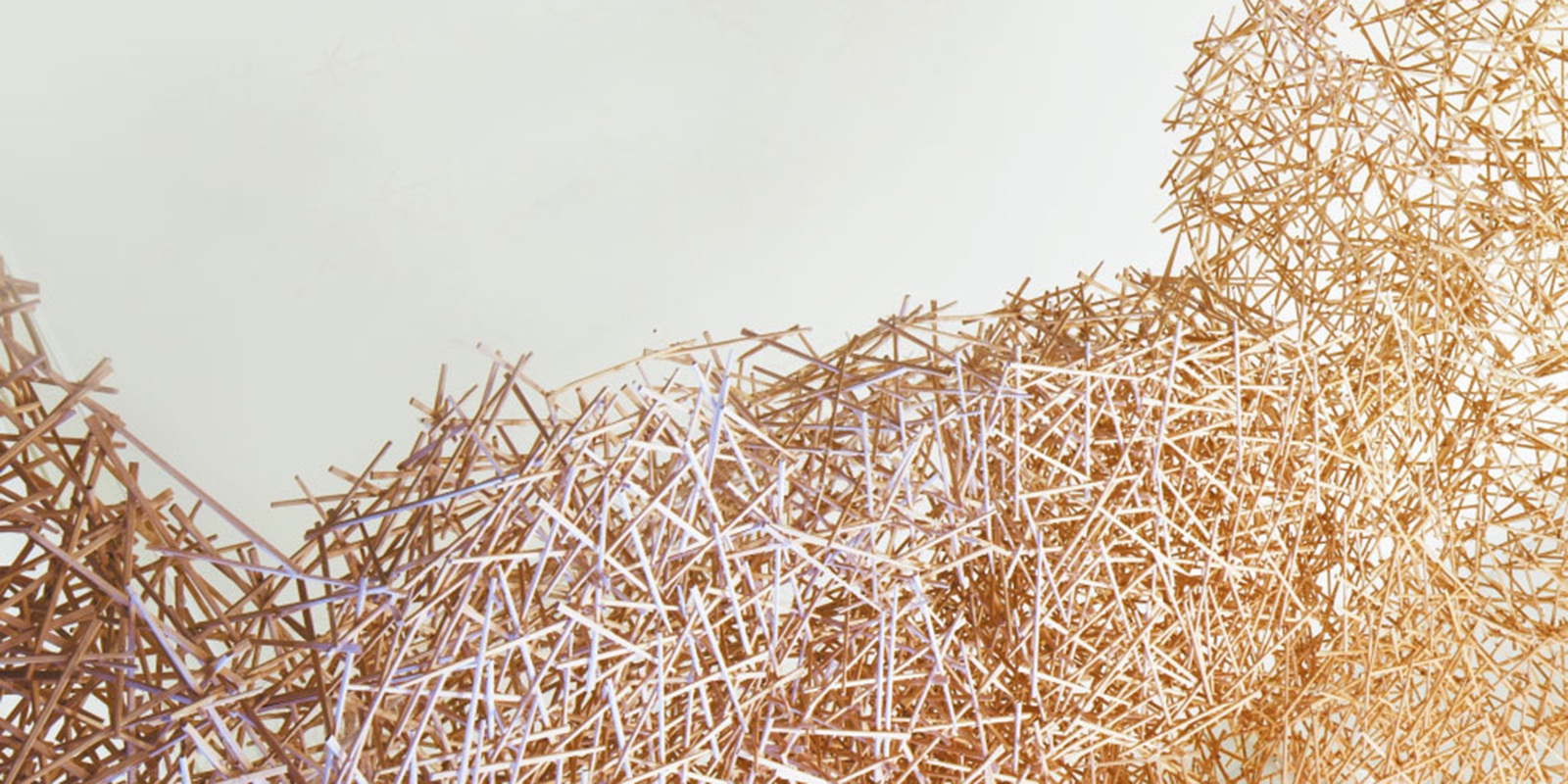 «На птичьих правах / Para-site Project» в ГМИИ имени А.С. Пушкина – события на сайте «Московские Сезоны»