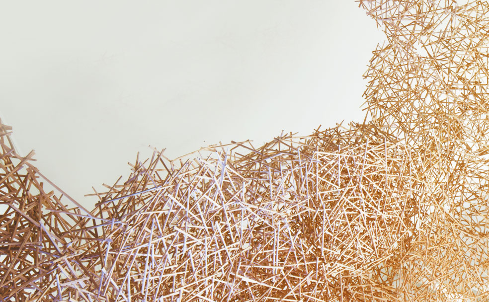 Выставка «Тадаси Кавамата. На птичьих правах / Para-site Project» – события на сайте «Московские Сезоны»