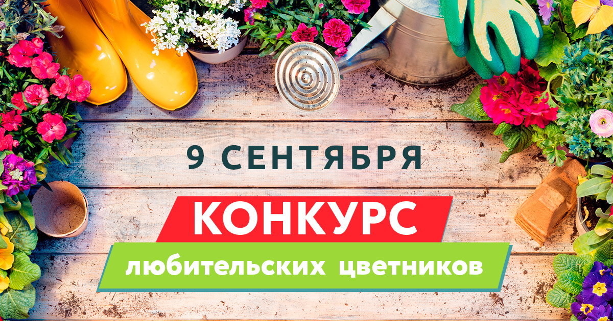 Цветочный джем. Конкурс любительских цветников