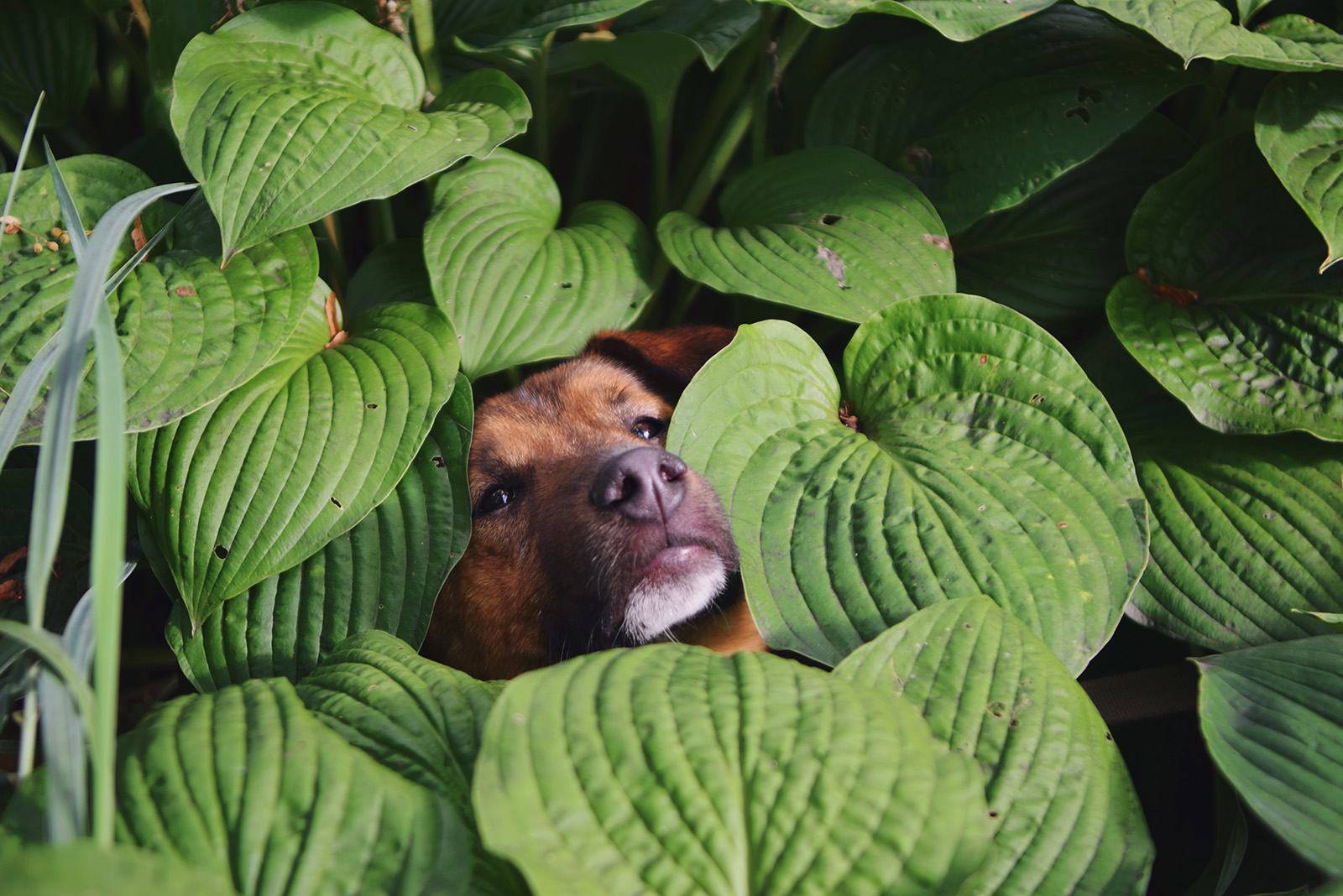 «ОБЪЕКТИВная благотворительность» в Таганском парке – события на сайте «Московские Сезоны»