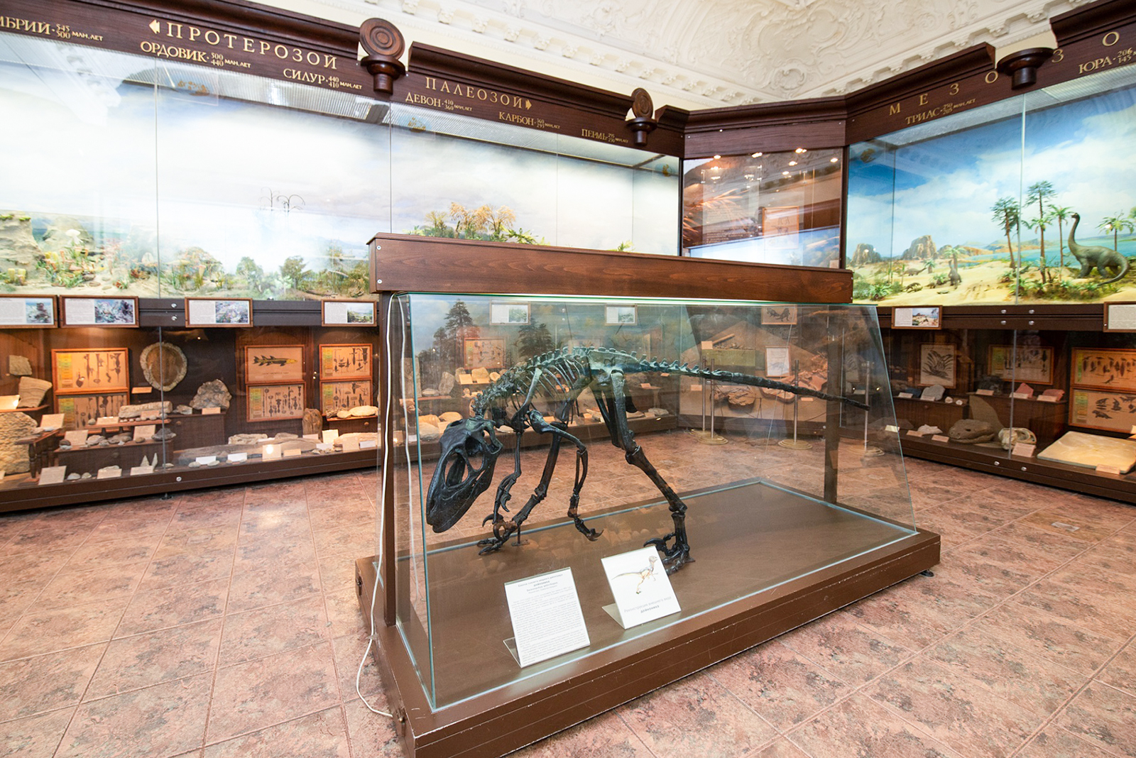 «Миллион лет до Москвы» в Биологическом музее – события на сайте «Московские Сезоны»