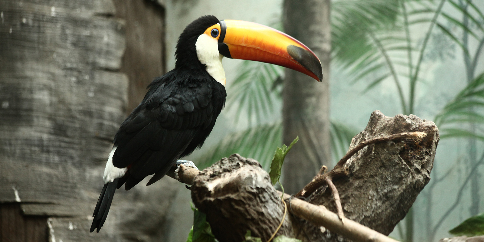 Авторские экскурсии в Московском зоопарке – события на сайте «Московские Сезоны»