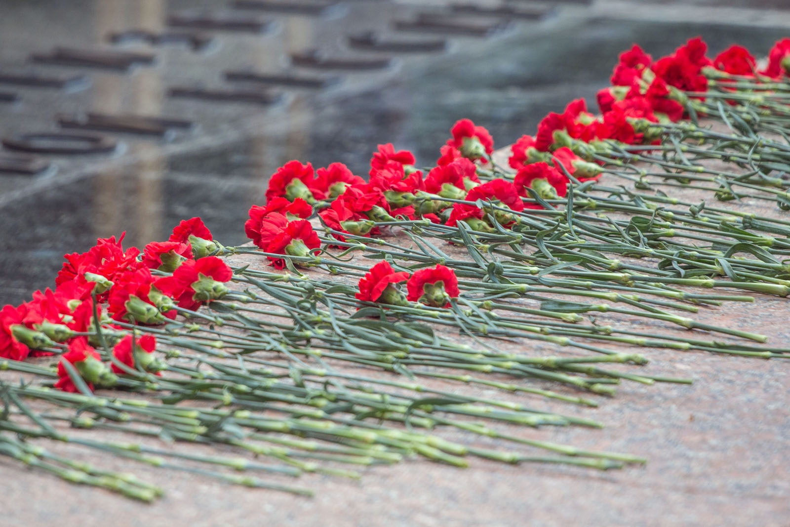 Возложение цветов к памятнику первостроителям Зеленограда – события на сайте «Московские Сезоны»