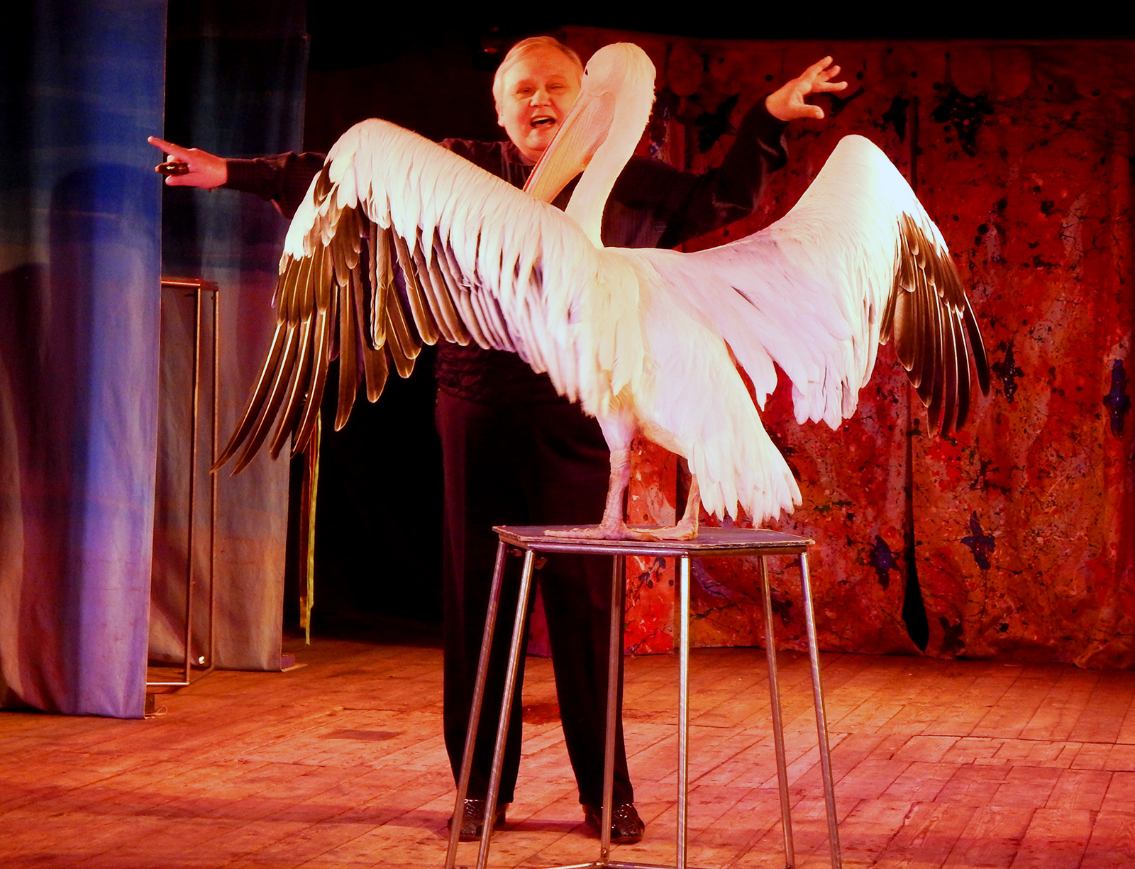 «От мышонка до медвежонка» в Московском театре иллюзии – события на сайте «Московские Сезоны»