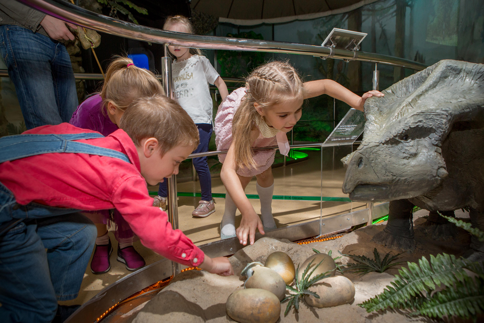 Праздник «Дошкольной академии» в Дарвиновском музее – события на сайте «Московские Сезоны»