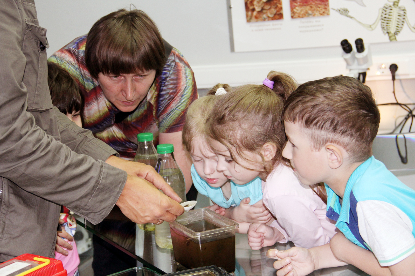 Цикл занятий «Как я провел лето» в Биологическом музее – события на сайте «Московские Сезоны»