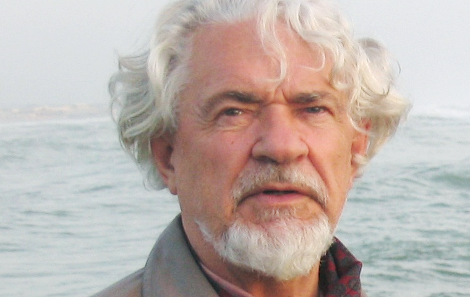 Вечер памяти Виталия Шенталинского в Доме-музее Марины Цветаевой – события на сайте «Московские Сезоны»