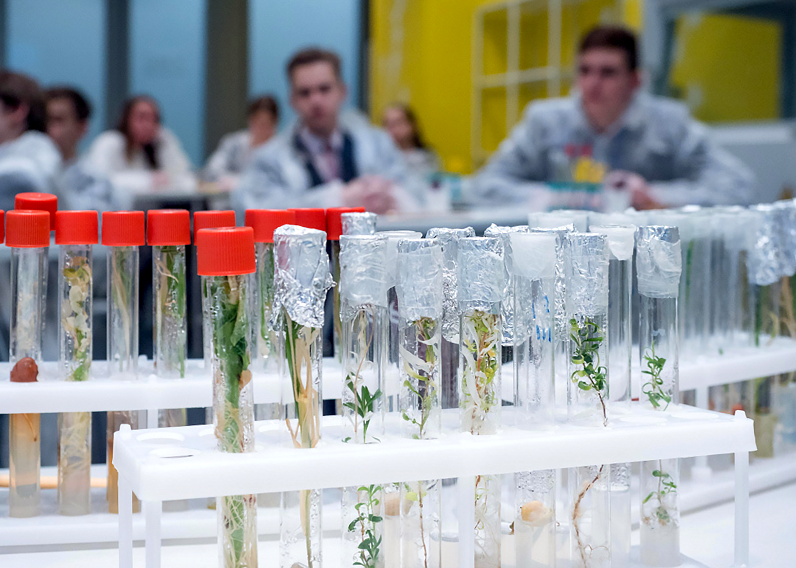 «Космический сад» в парке «Зарядье» – события на сайте «Московские Сезоны»