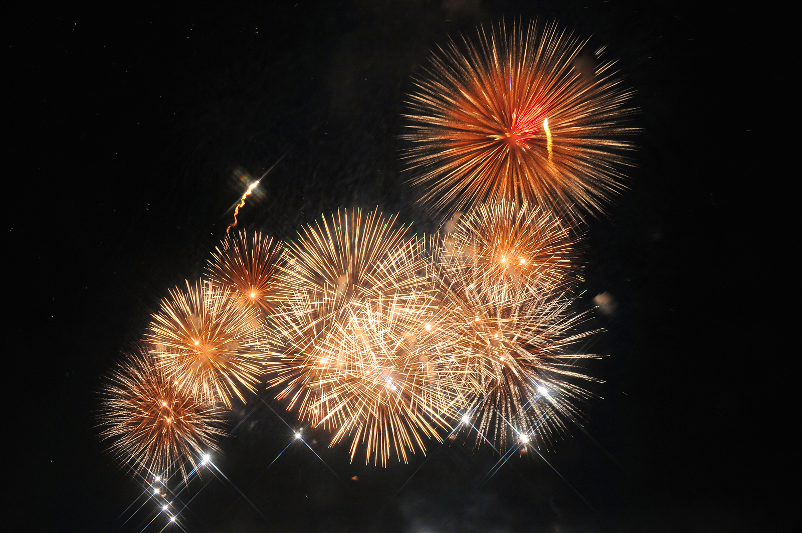 «Круг света» в Центральном музее Великой Отечественной войны – события на сайте «Московские Сезоны»