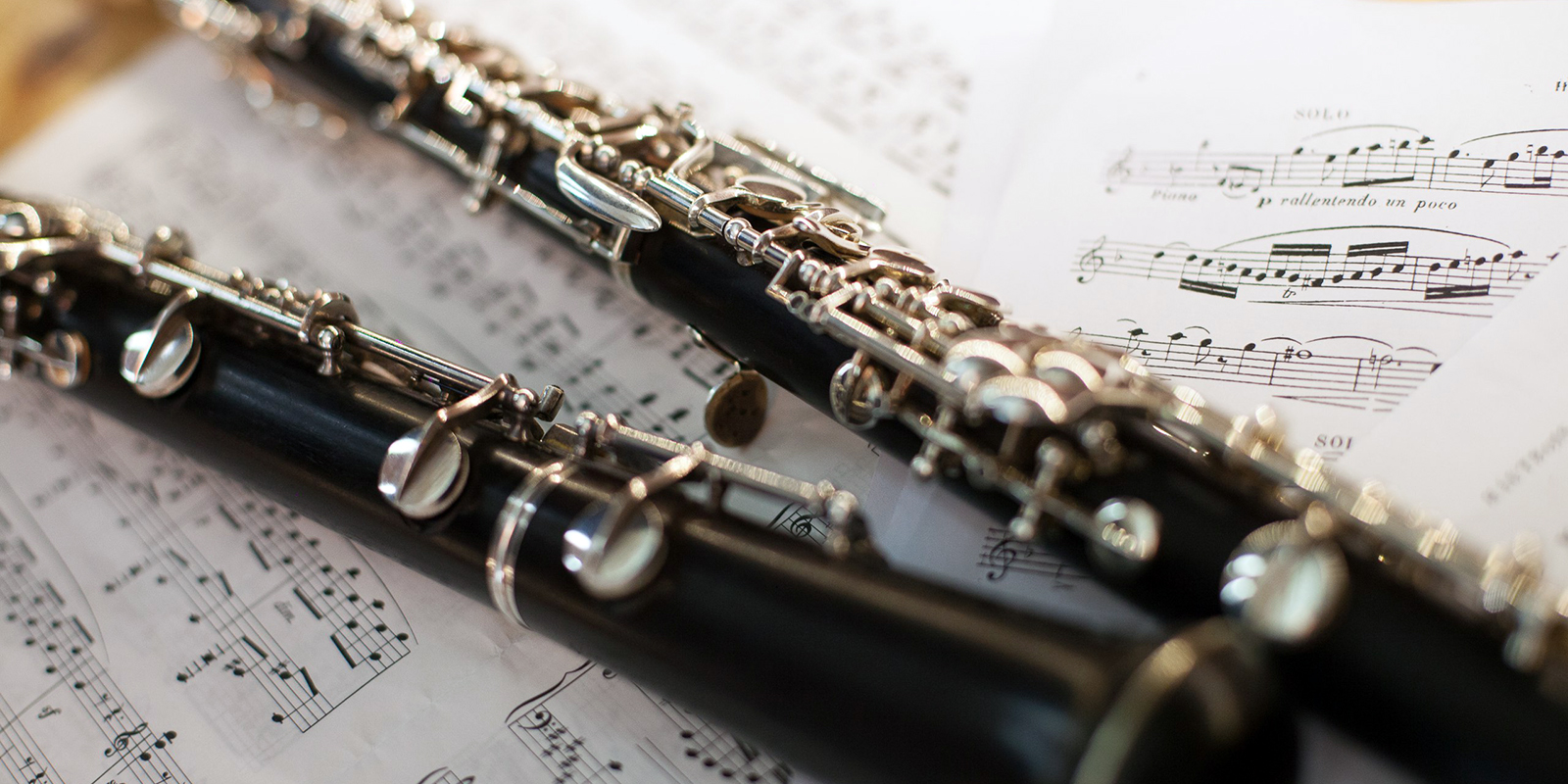 Концерт «Осенняя ностальгия» в Школе акварели Сергея Андрияки – события на сайте «Московские Сезоны»