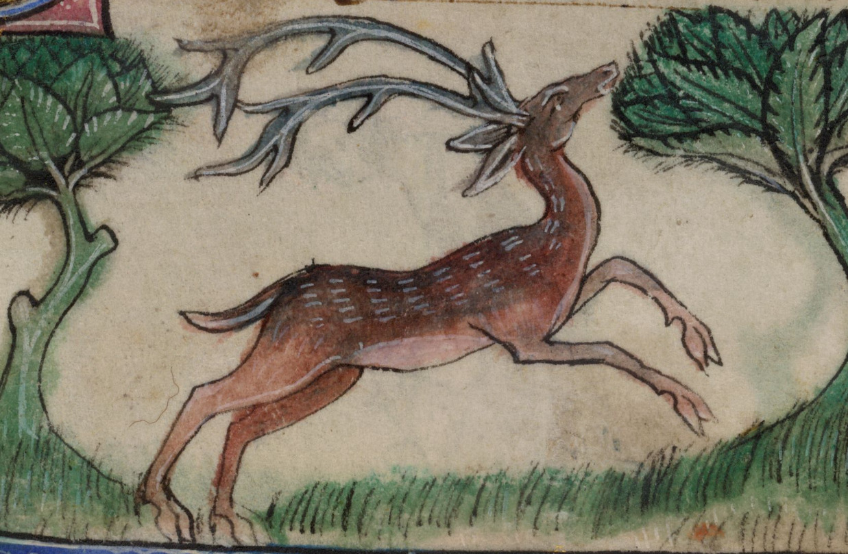 Встреча «Бестиарий Шекспира: олень» – события на сайте «Московские Сезоны»