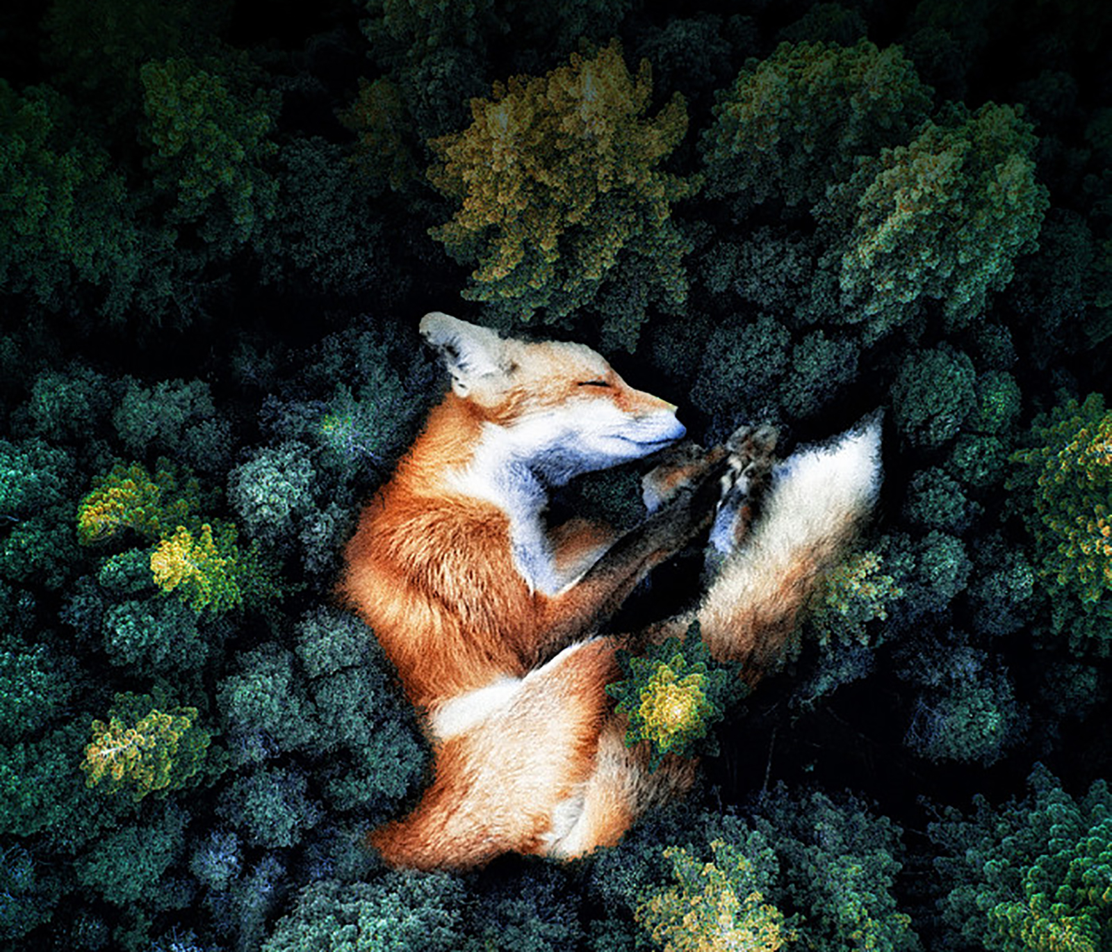 «Сердце мира» в сети кинотеатров «Москино» – события на сайте «Московские Сезоны»