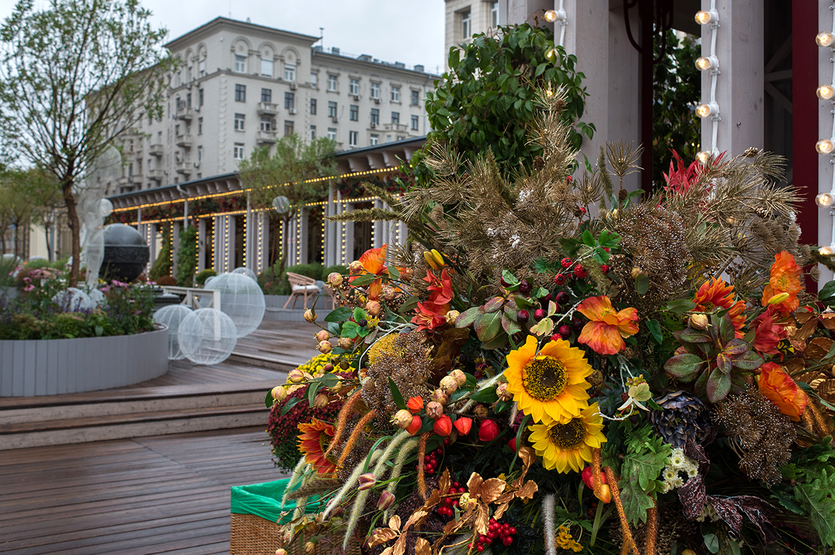 Осенний сад на Тверской площади – события на сайте «Московские Сезоны»