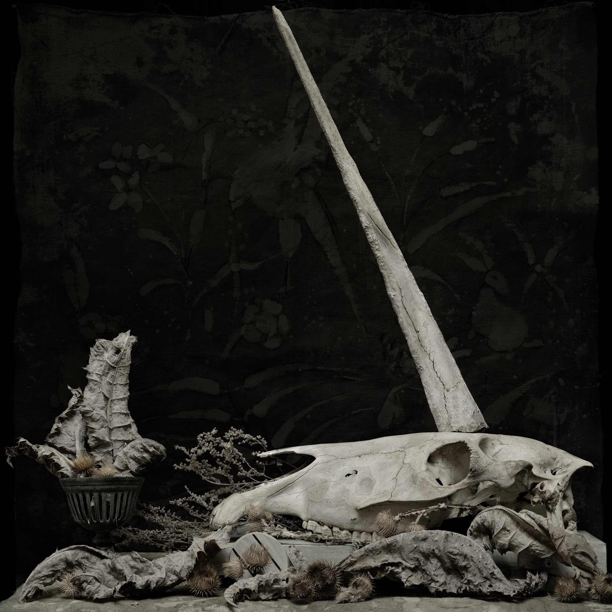 «Рыбы + единорог. Монологи» в галерее «А3» – события на сайте «Московские Сезоны»