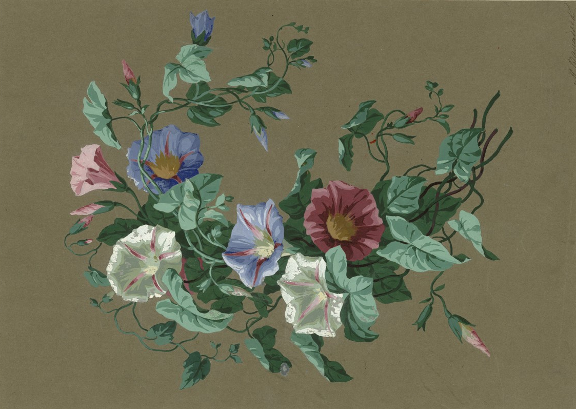 Выставка «Ботаническая живопись. Наука и искусство» – события на сайте «Московские Сезоны»