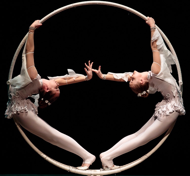 Цирковой концерт «Представление продолжается» – события на сайте «Московские Сезоны»