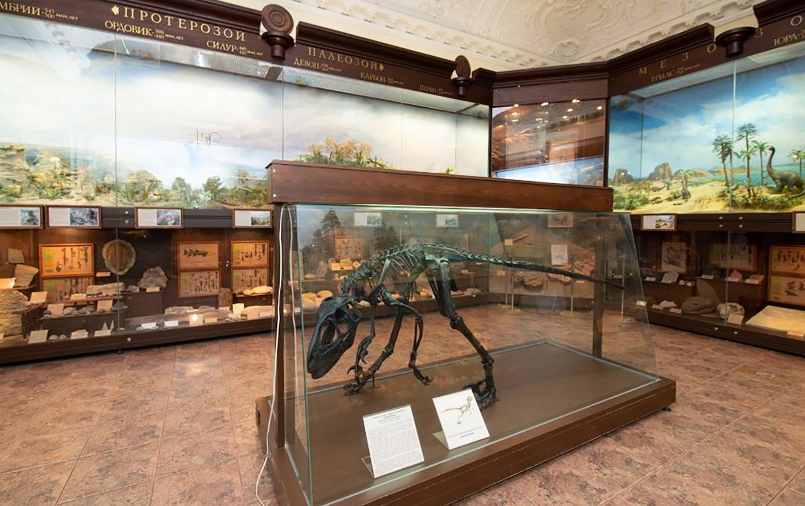 Палеонтологический детектив в Биологическом музее – события на сайте «Московские Сезоны»