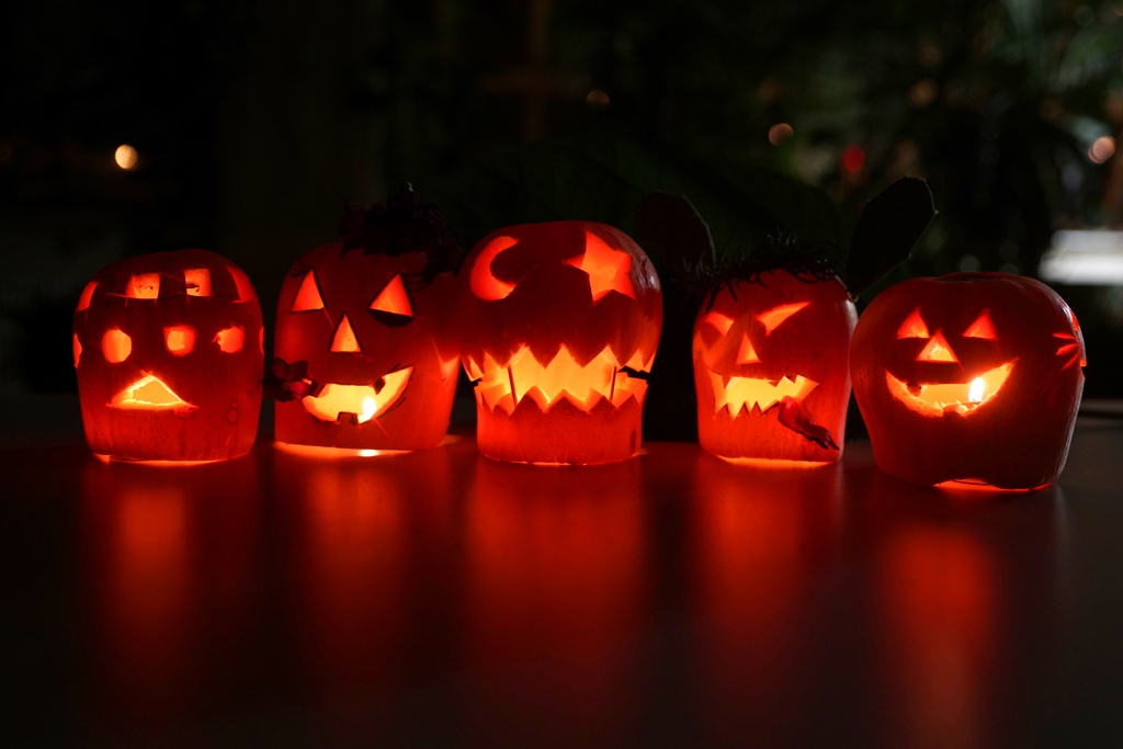 Ботаническая беседа «Страшные и красивые» – события на сайте «Московские Сезоны»