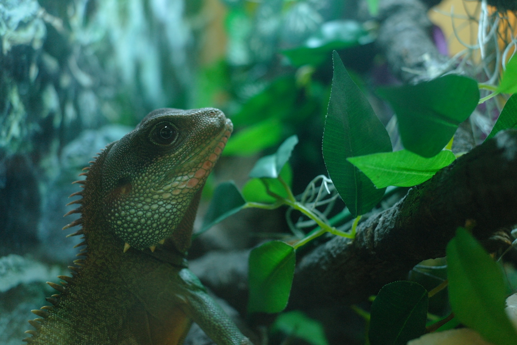 Семейный праздник «Экзотикум» в Биологическом музее – события на сайте «Московские Сезоны»