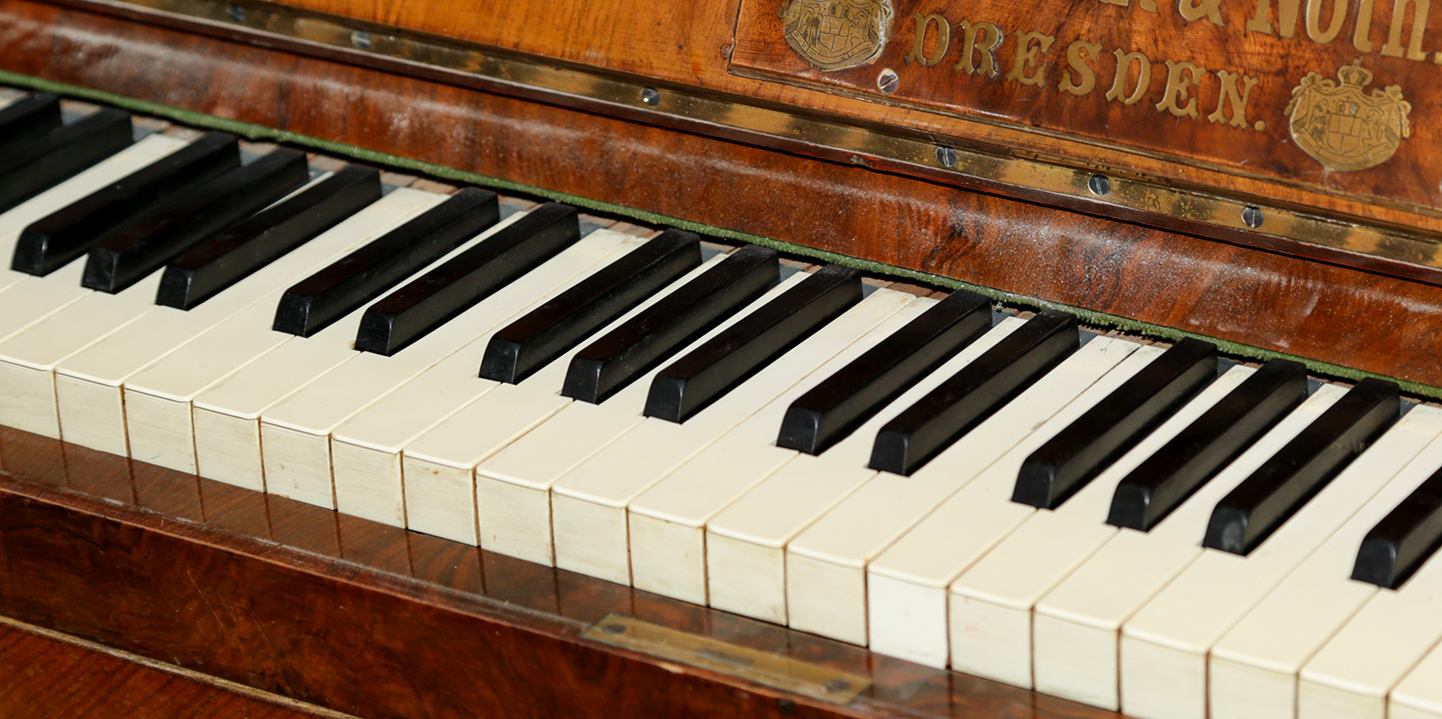 «Притяжение Баха» в Государственном музее А.С. Пушкина – события на сайте «Московские Сезоны»