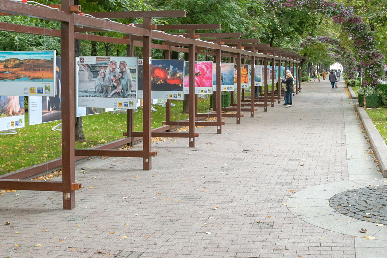 «Музыкальный театр. Истоки» на Страстном бульваре – события на сайте «Московские Сезоны»