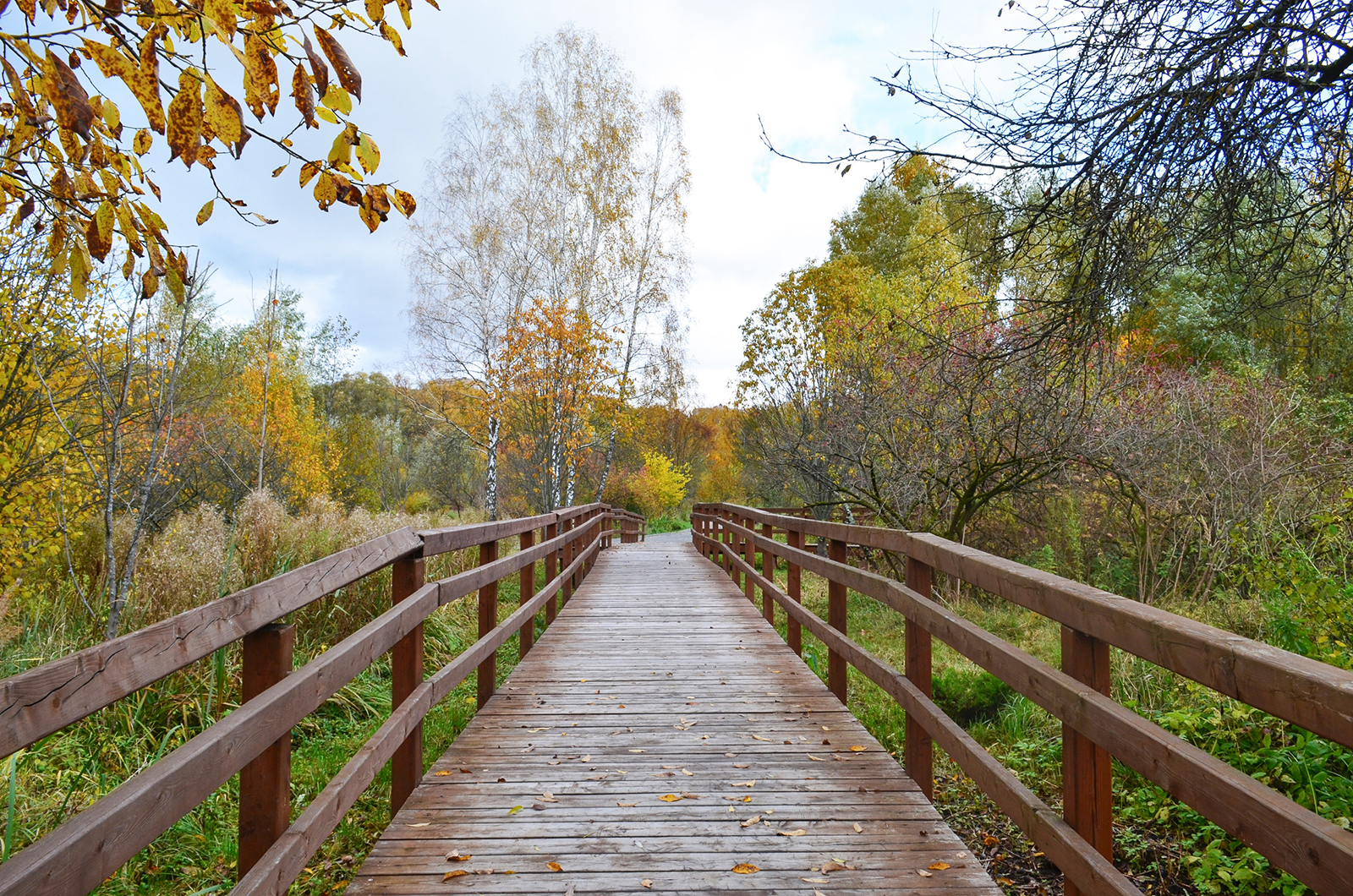 Занятие «Заповедные дела» в экоцентре «Битцевский лес» – события на сайте «Московские Сезоны»