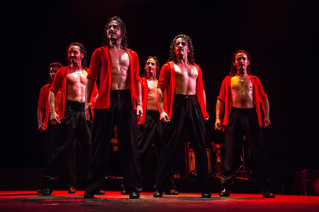 Танцевальное шоу Los Potros Malambo (Аргентина) – события на сайте «Московские Сезоны»