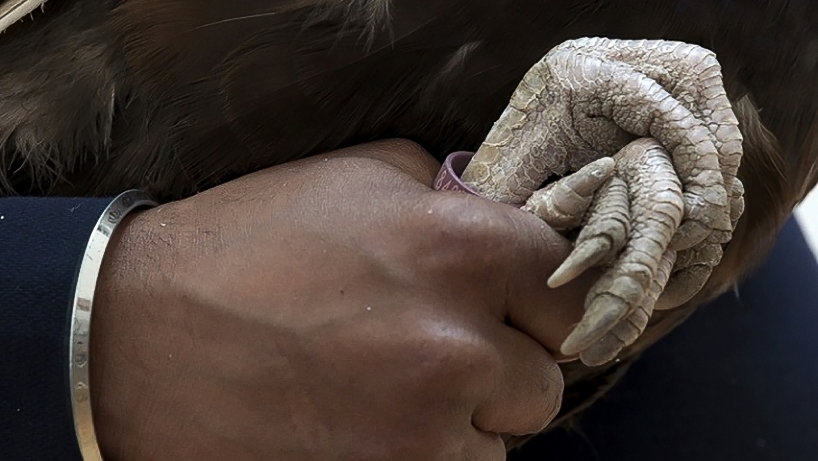 «Искусство памяти» в «Мультимедиа-арт-музее» – события на сайте «Московские Сезоны»