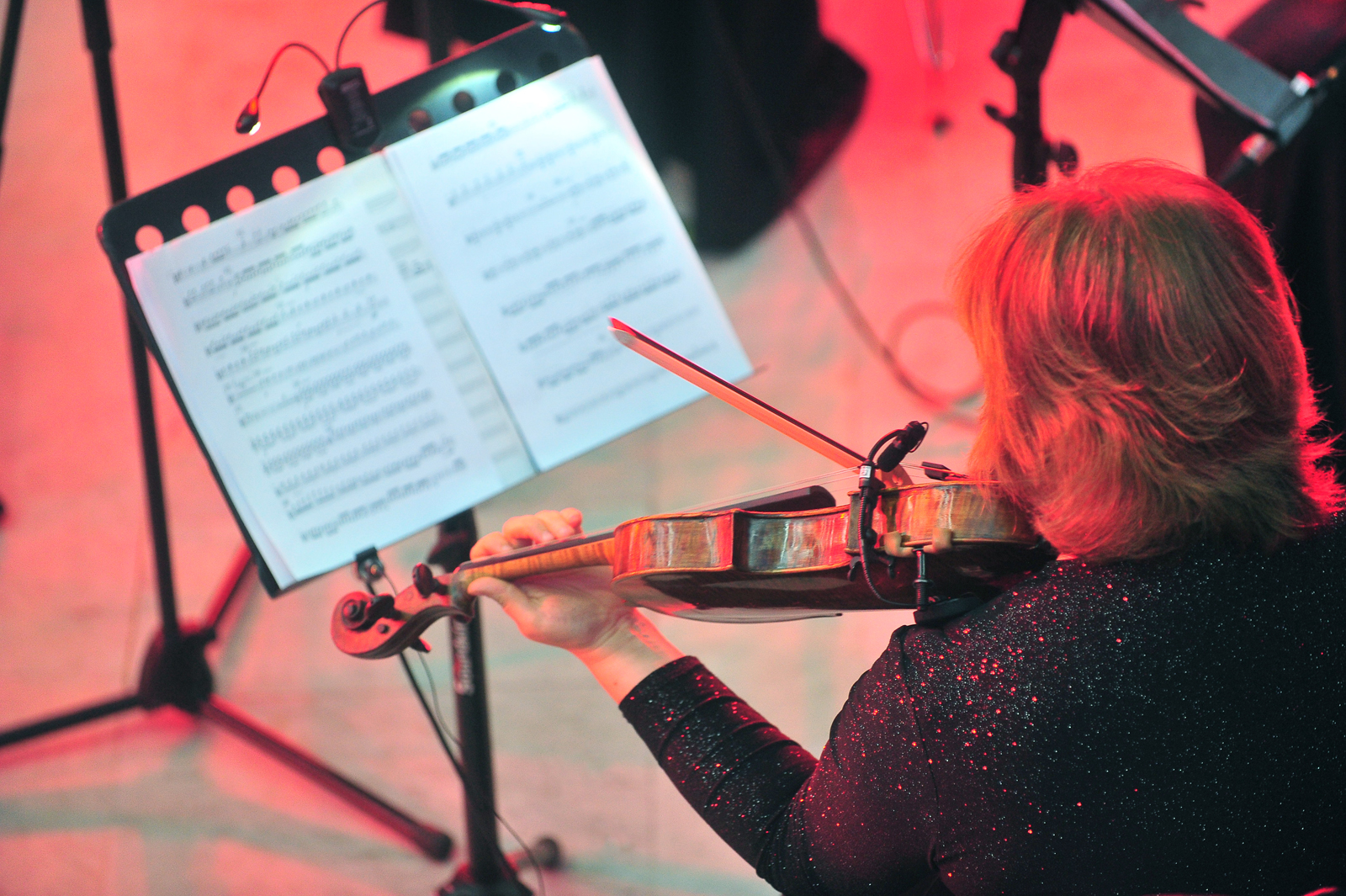 «Времена года» в Доме музыки – события на сайте «Московские Сезоны»