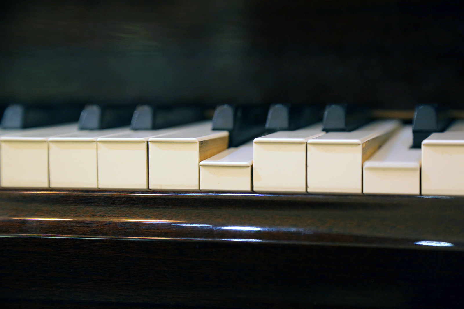 Фортепианный вечер Натальи Соколовской в Музее Скрябина – события на сайте «Московские Сезоны»