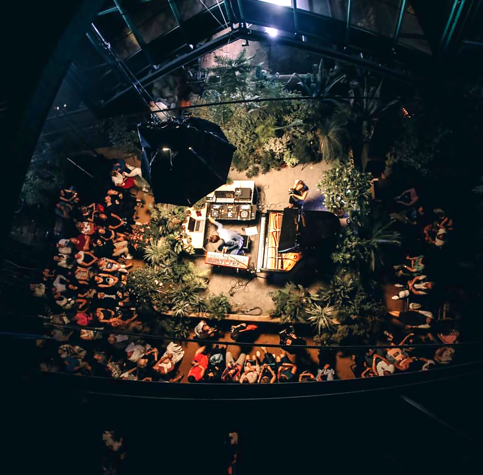 «Тропическая классика. Вальс цветов» в «Аптекарском огороде» – события на сайте «Московские Сезоны»