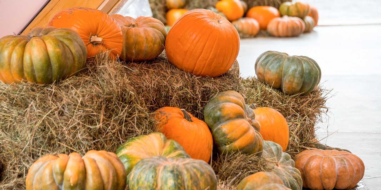 «Итальянцы в России» в «Аптекарском огороде» – события на сайте «Московские Сезоны»