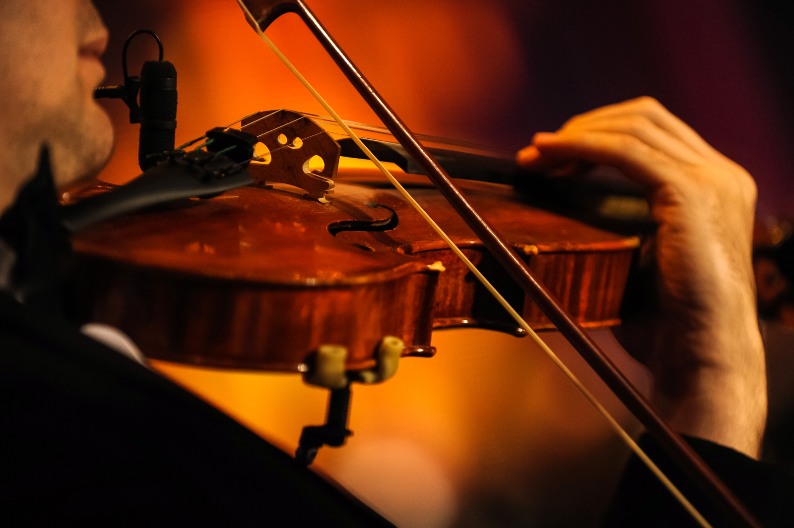 Оркестр «Времена года» в Москонцерте на Пушечной – события на сайте «Московские Сезоны»