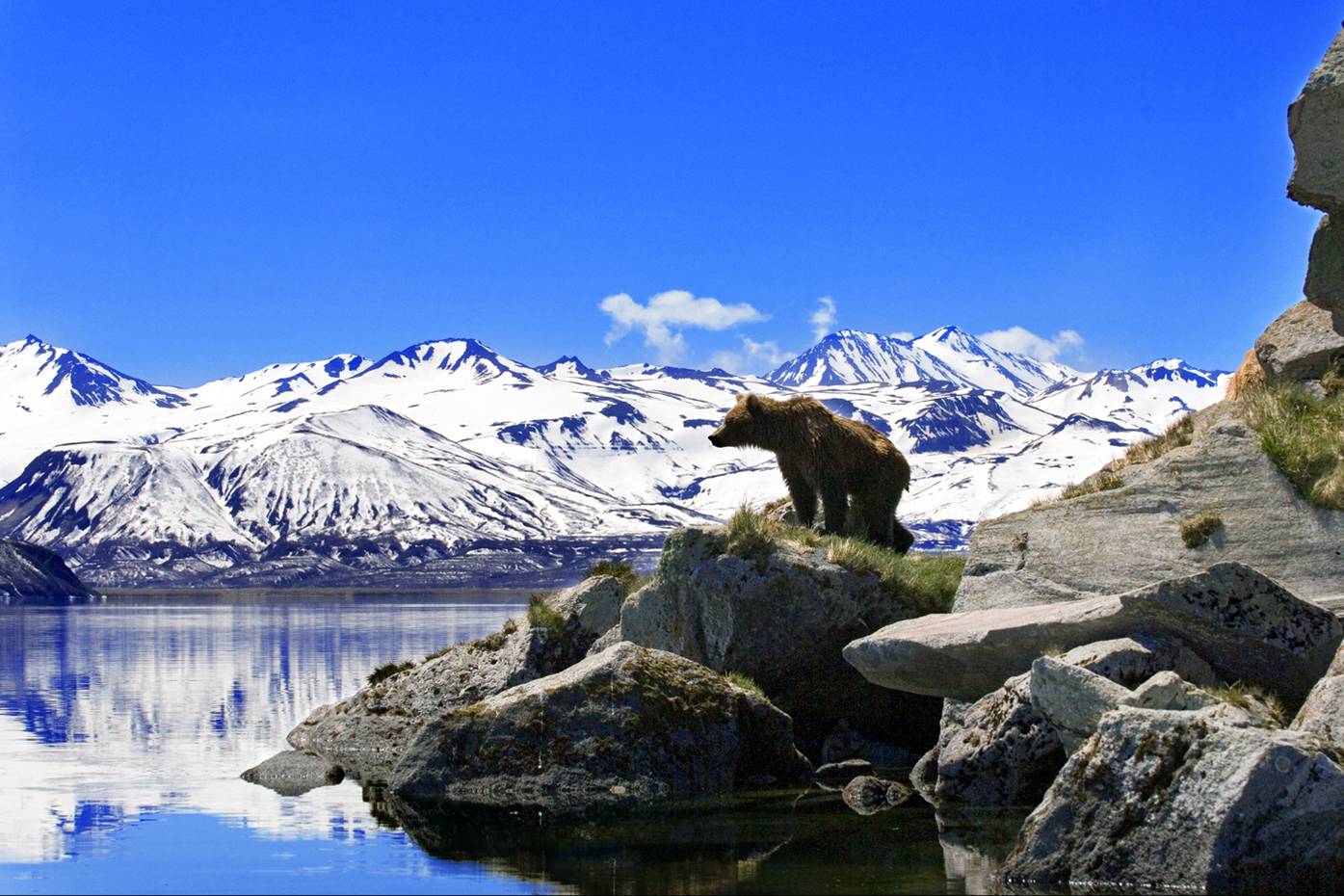 Лекция «Удивительная Камчатка» – события на сайте «Московские Сезоны»