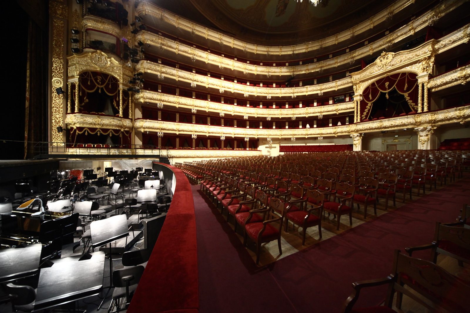 Концерт «Путеводитель по оркестру. Карнавал животных» – события на сайте «Московские Сезоны»